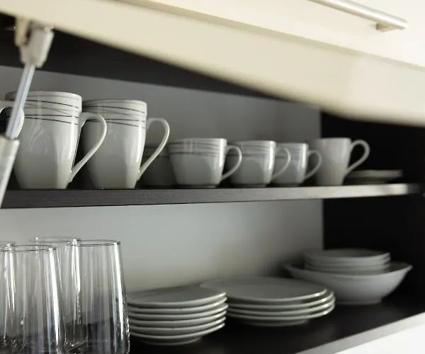 Fluid- Free Parking * Split